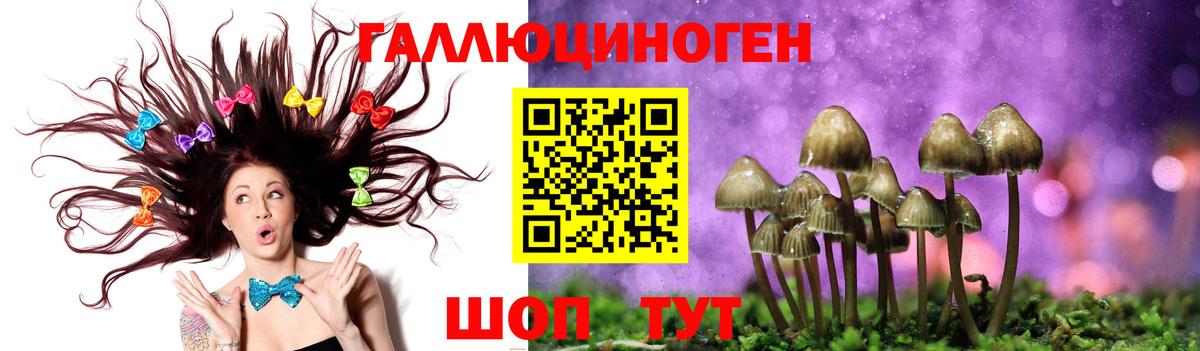 Заволжье  Галлюциногенные грибы мухоморы  Вход с VPN 